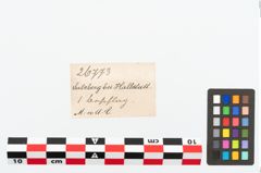 Etikett zu Bronzeklammer (NHMW-PRAE-026773)